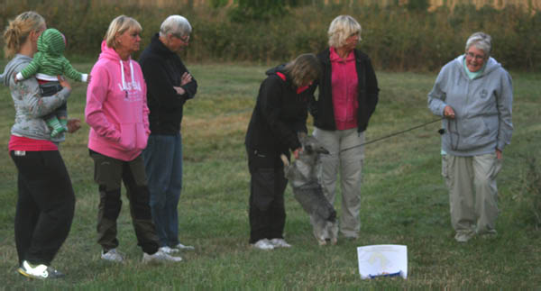 bild18