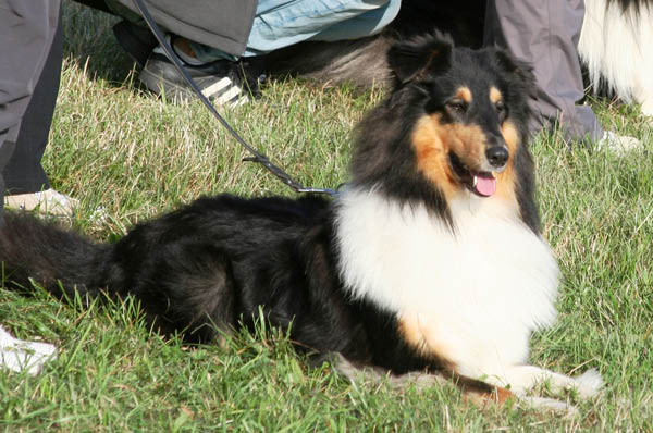 bild20