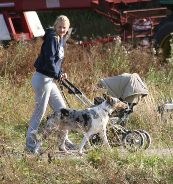 bild21