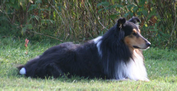 bild23