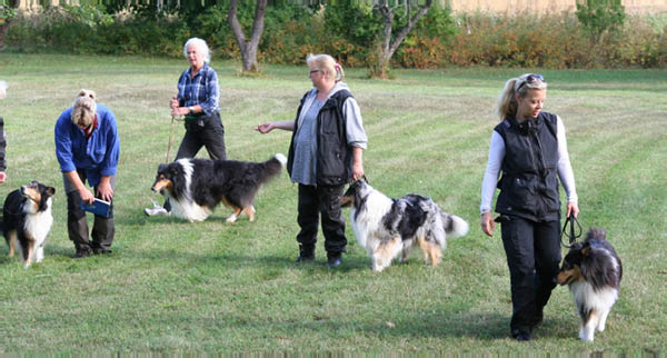 bild27