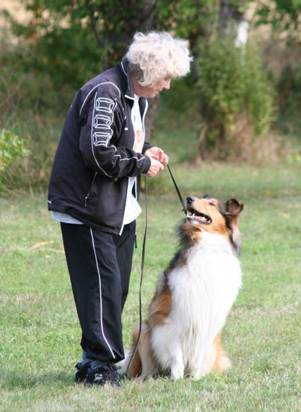 bild29