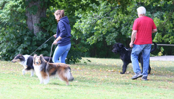 bild33