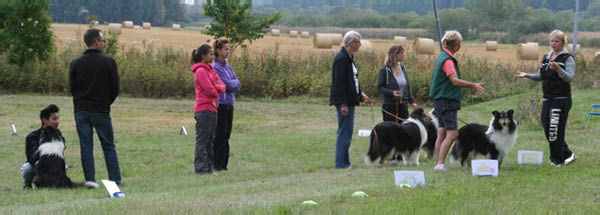 bild34