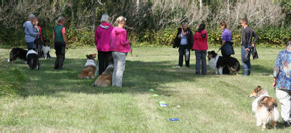 bild62
