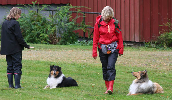 bild81