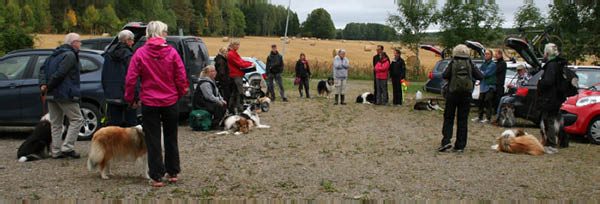 bild82