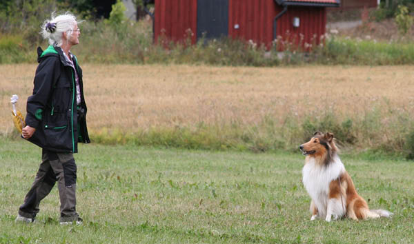 bild86