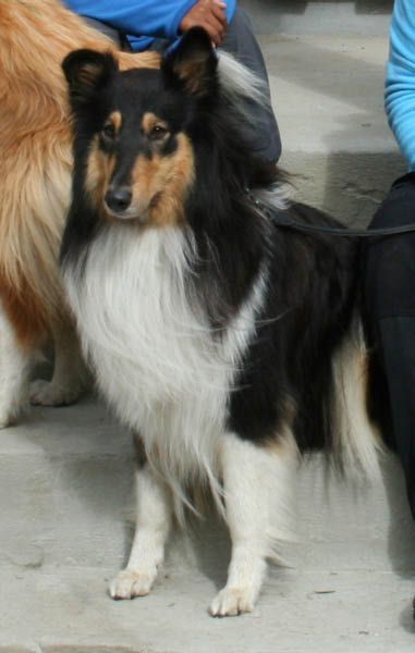 bild93
