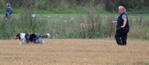 bild98