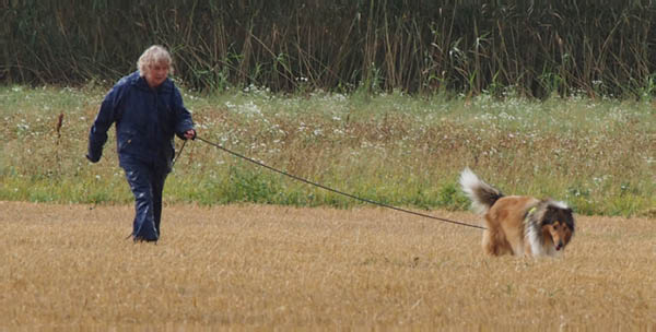 bild99