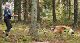 bild102