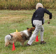 bild108