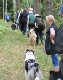 bild11