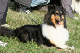 bild20