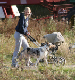 bild21