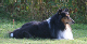 bild23