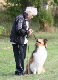 bild29