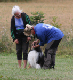 bild4