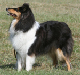 bild58