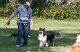 bild64