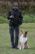bild80