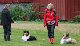 bild81