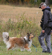 bild87
