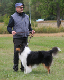 bild88