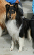 bild93