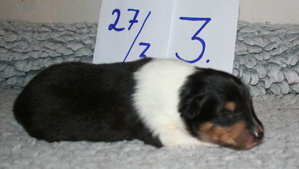 bild10