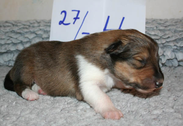 bild11