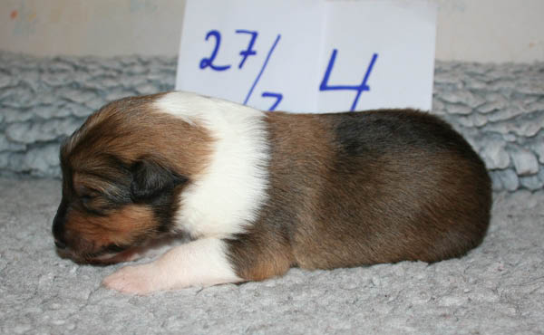 bild12