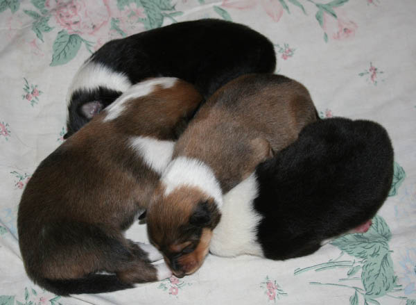 bild2