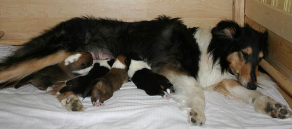 bild4