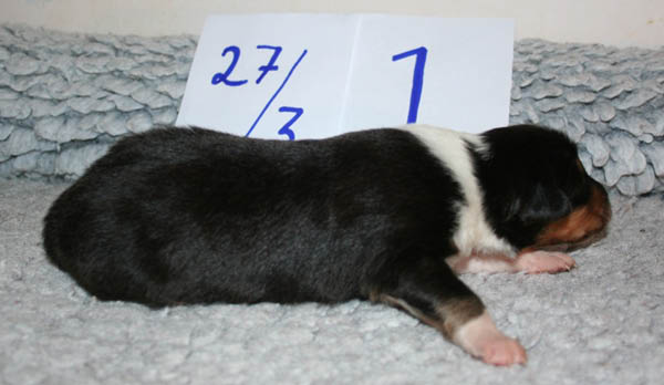 bild5