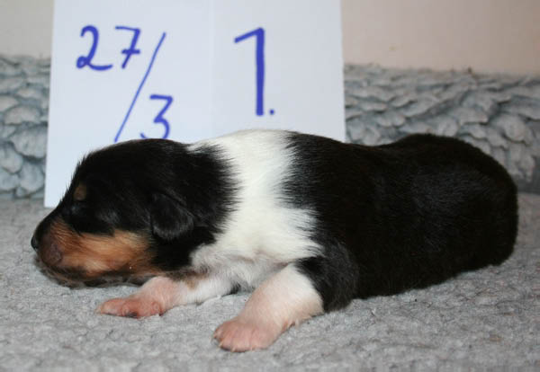 bild6
