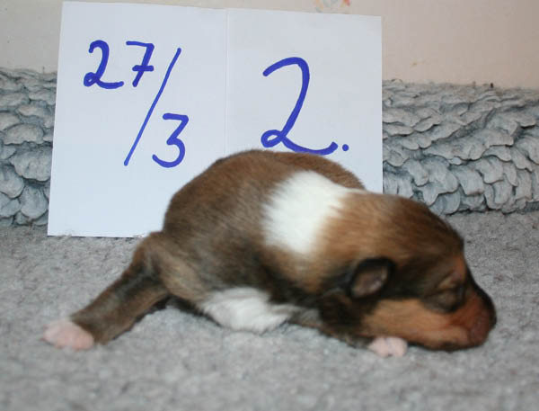 bild8