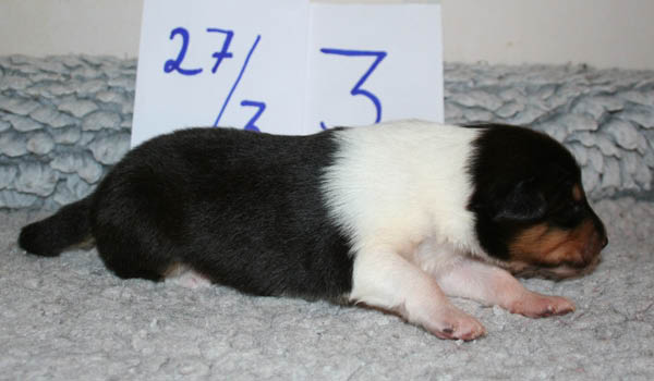 bild9