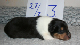 bild10