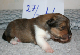 bild11