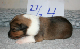 bild12