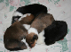 bild2