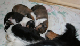 bild3