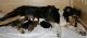bild4
