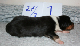 bild5