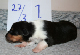 bild6