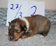 bild7