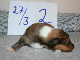 bild8