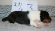 bild9